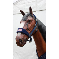 HB halster Bellwood Going to America COB